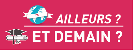 Affiche "Directeur des soins, d'ici et d'ailleurs" Affiche "Directeur des soins, d'ici et d'ailleurs"