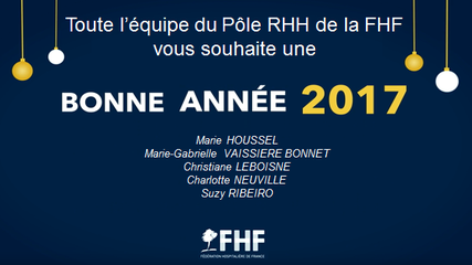 Voeux 2017