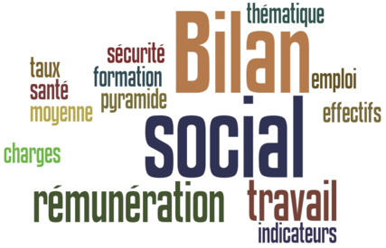 Bilan social 2014 Bilan social 2014
