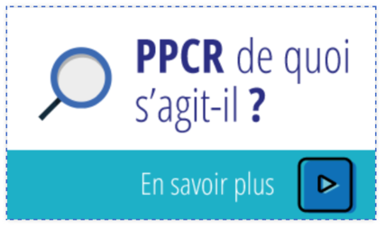 NS PPCR NS PPCR